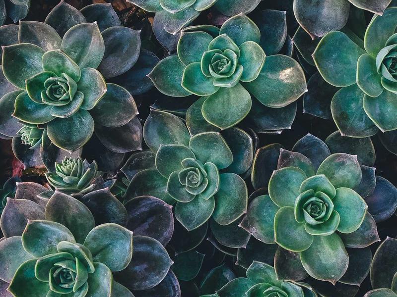 The Rise of Synthetic Data in Model Training